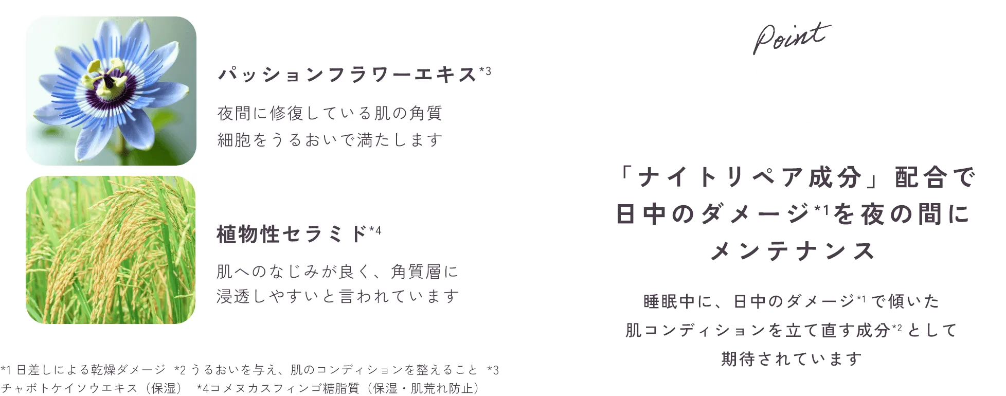 POINT01「ナイトリペア成分」配合で日中のダメージ*1を夜の間にメンテナンス睡眠中に、日中のダメージ*1 で傾いた肌コンディションを立て直す成分*2 として期待されています
