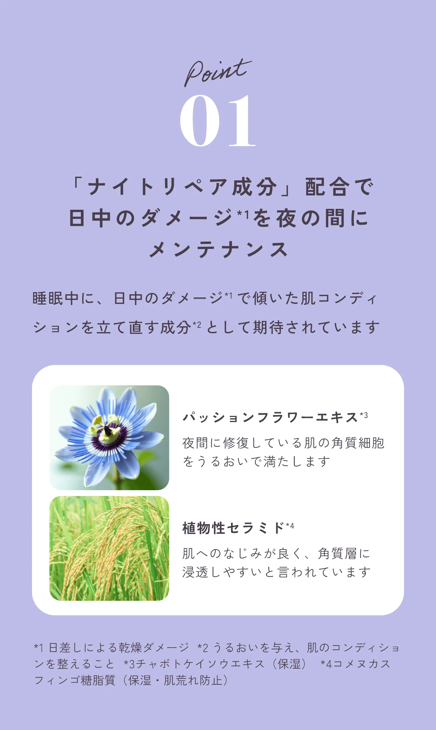 POINT01「ナイトリペア成分」配合で日中のダメージ*1を夜の間にメンテナンス睡眠中に、日中のダメージ*1 で傾いた肌コンディションを立て直す成分*2 として期待されています