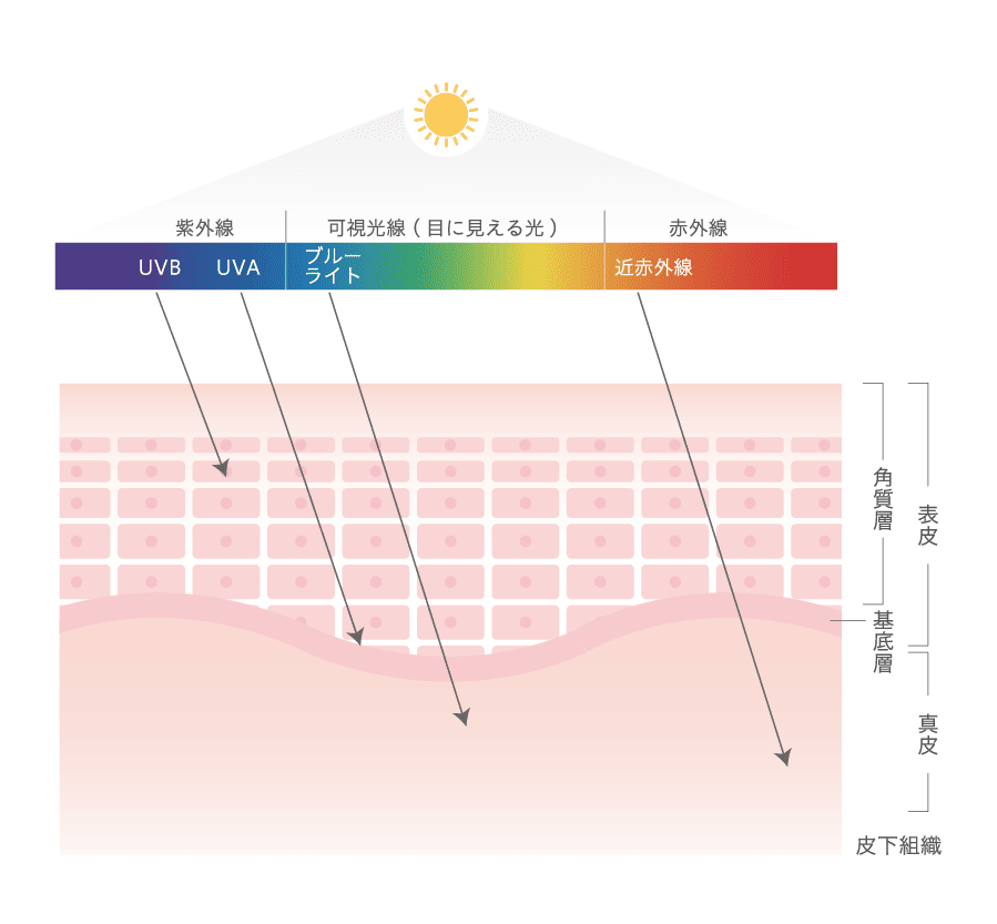 ３つの光とは？