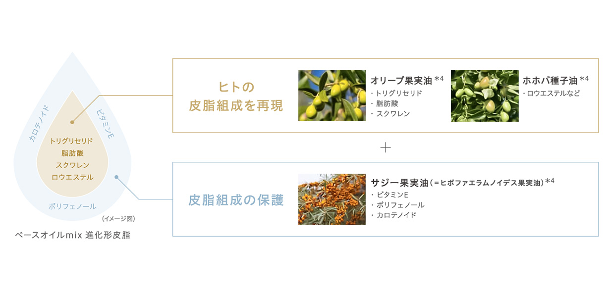 進化形皮脂「ベースオイルmix」について