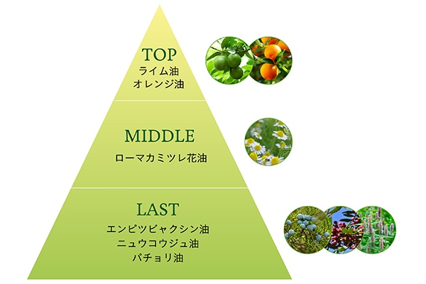 深い森の静寂に包まれる香り