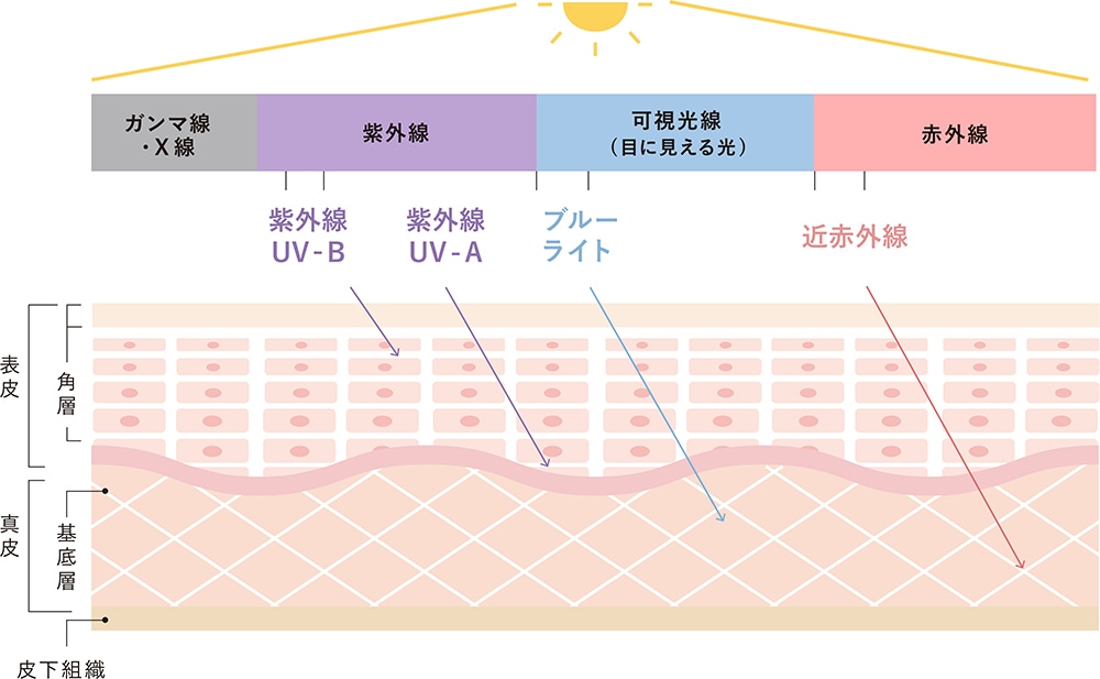 ３つの光