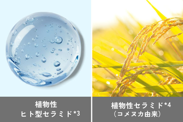 モイストミルク