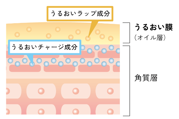 モイストキープ成分