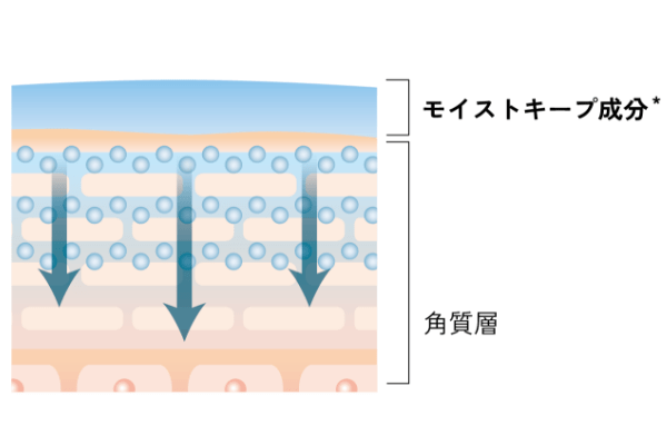 保湿成分6倍